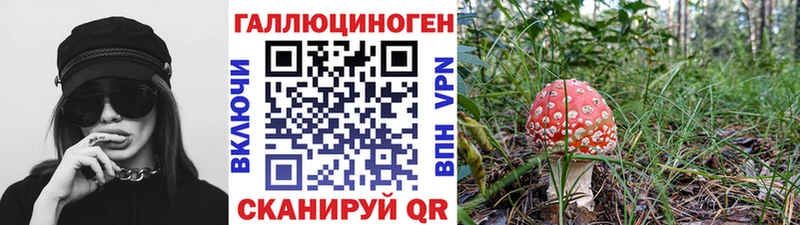 как найти закладки  Белый  Псилоцибиновые грибы мицелий 